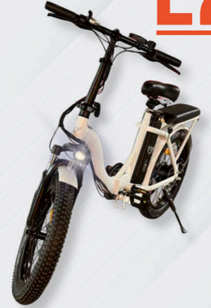 BICICLETA ELÉCTRICA MOBULAA E20