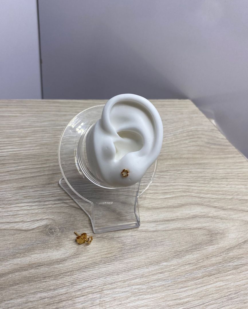 Topo florecita, covergold 