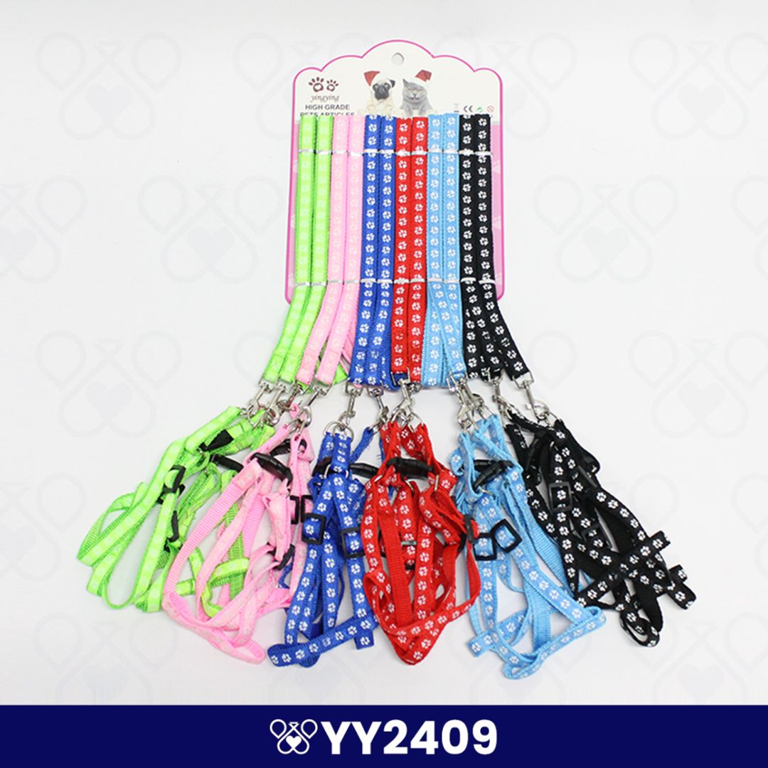 YY2409