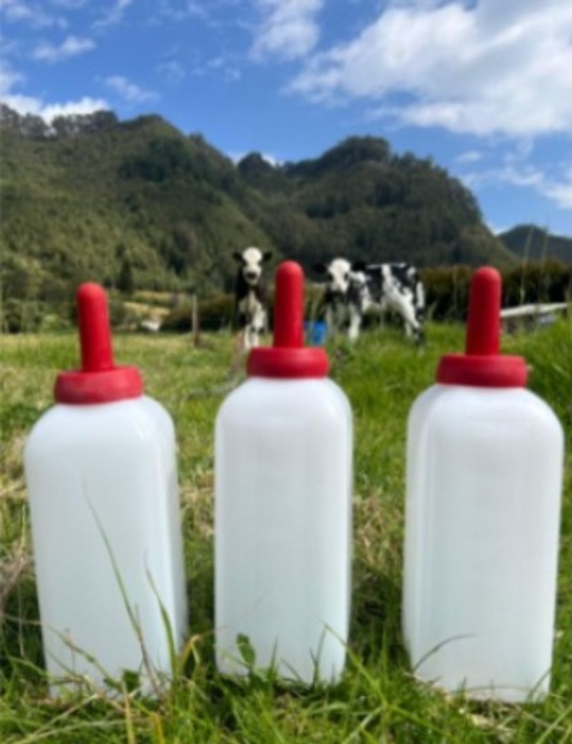 BIBERON PARA TERNEROS