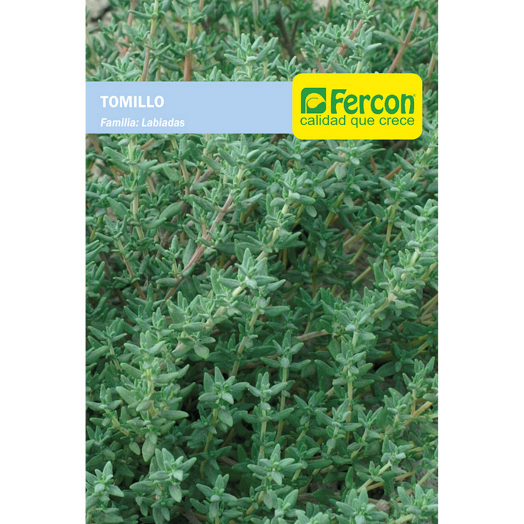 TOMILLO