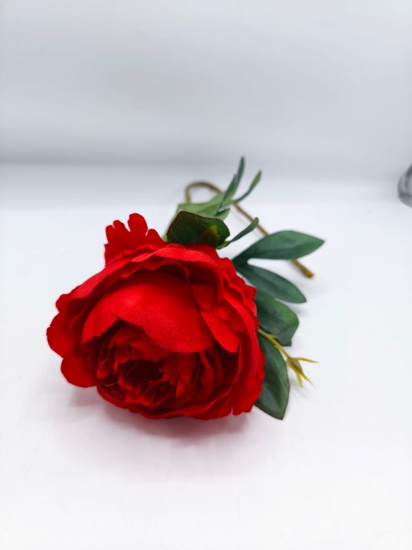 FLOR PEONIA INDIVIDUAL TG 680