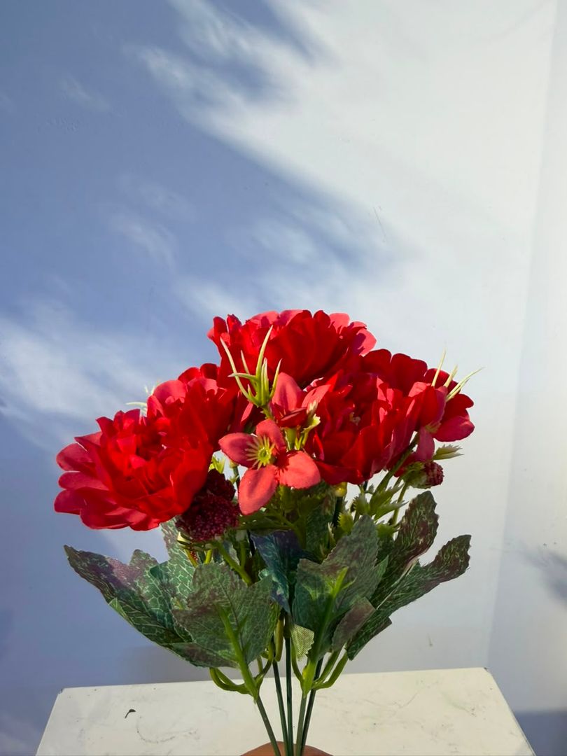 GARDENIA ROJA