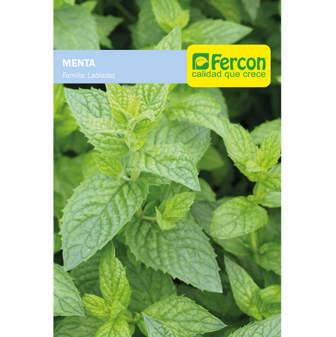 MENTA