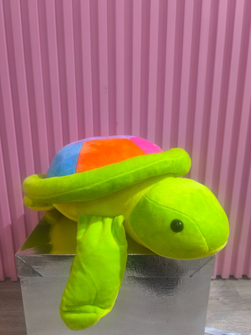 TORTUGA COLORIDA