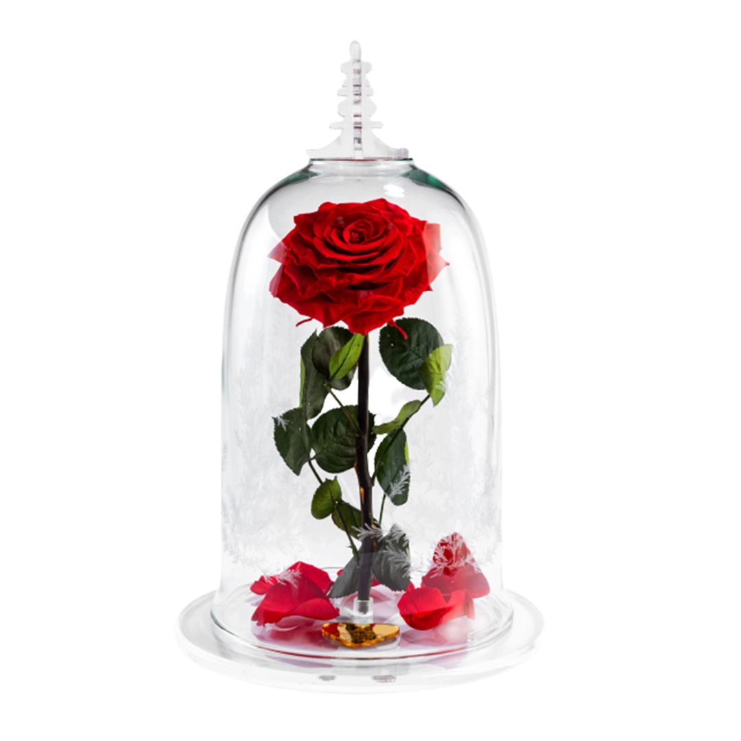 LA BELLA Y LA BESTIA