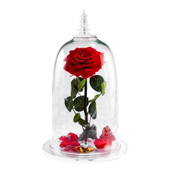 LA BELLA Y LA BESTIA - imagen 1