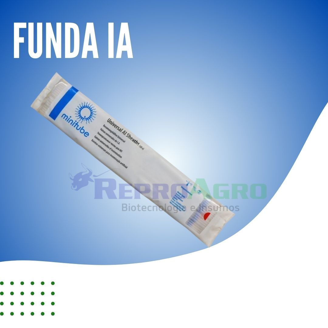 FUNDA IA