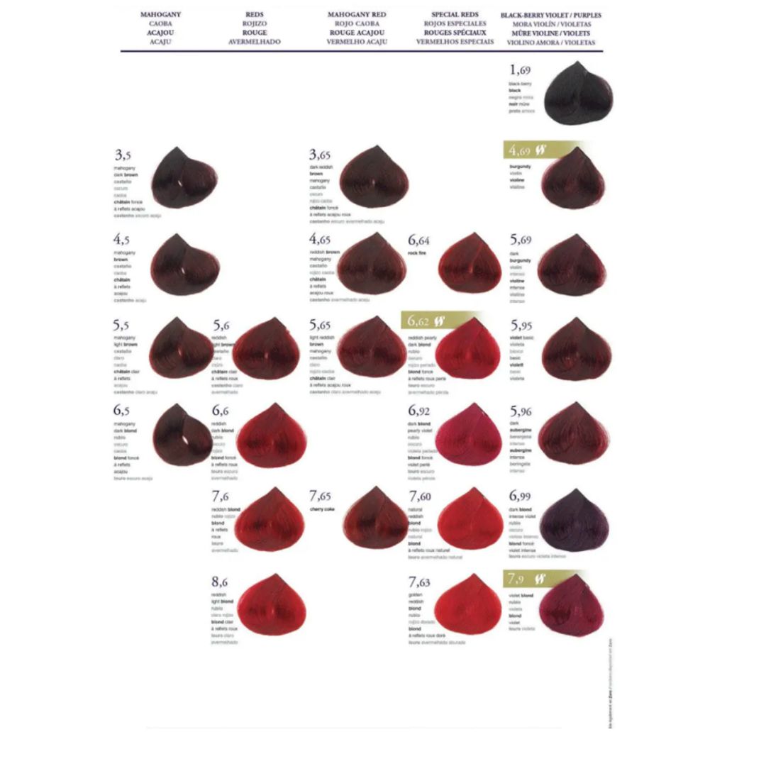 TINTE VISON SALERM 75ML