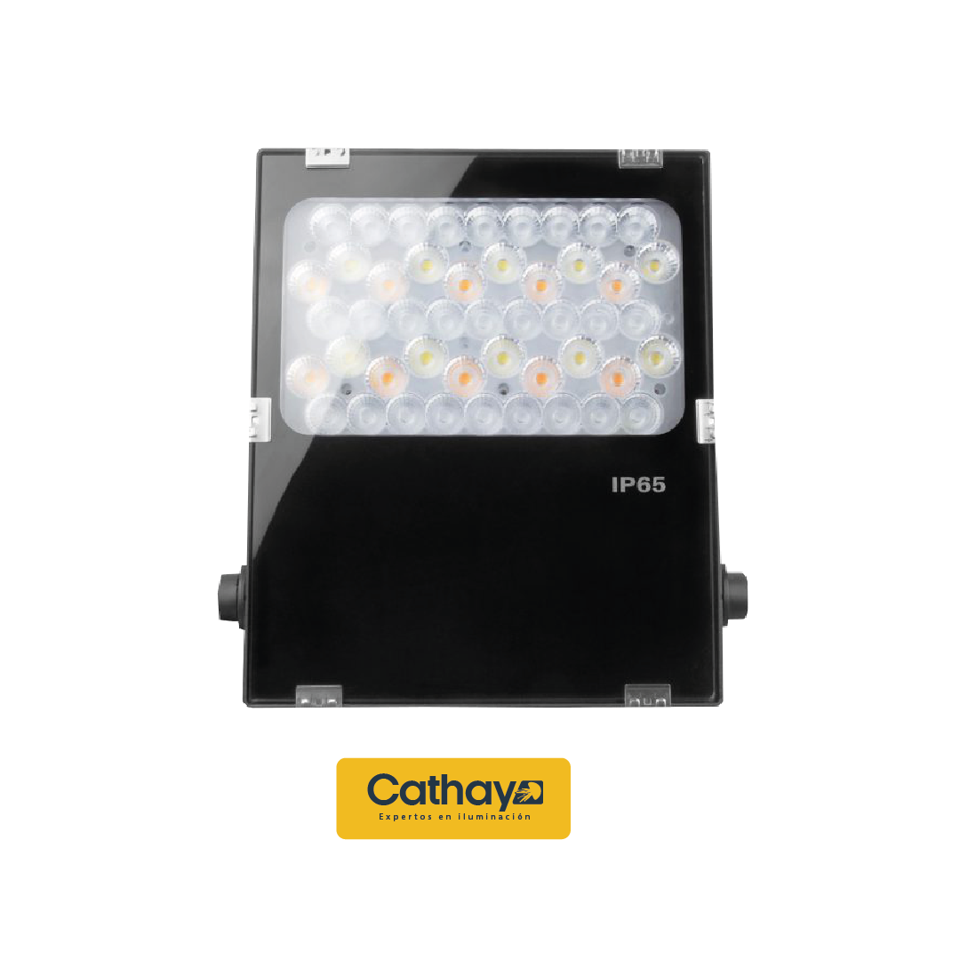 REFLECTOR GARDEN 50w RBG+CCT 