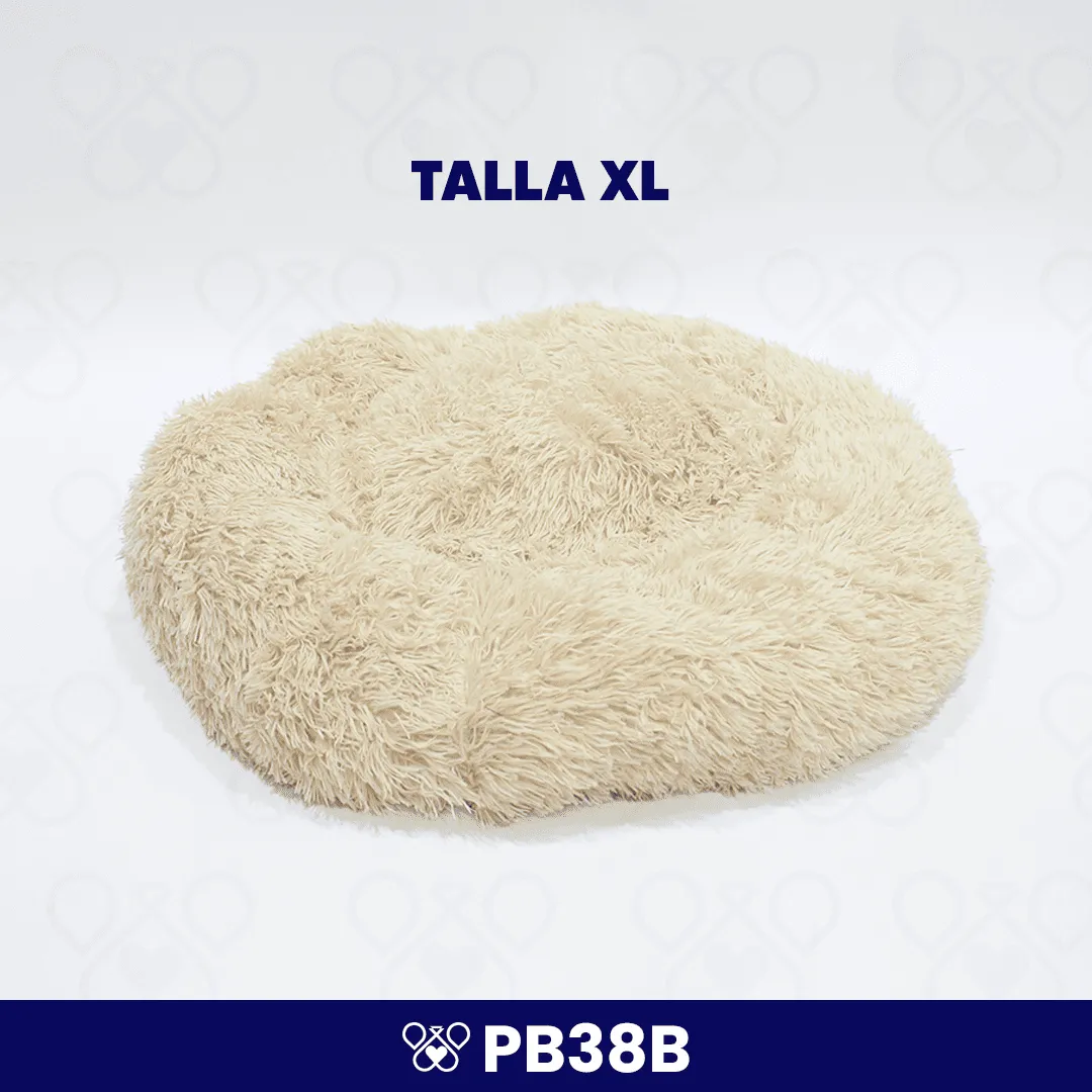 PB38B-