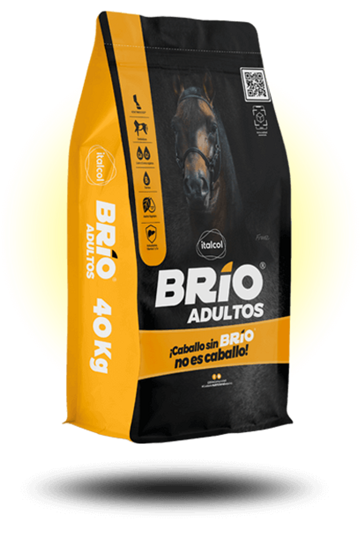 BRIO ADULTOS 40 Kilos