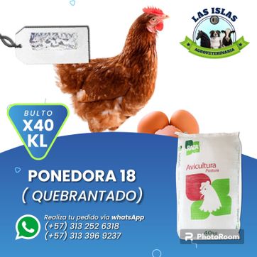 Imagen del producto PONEDORAS 18