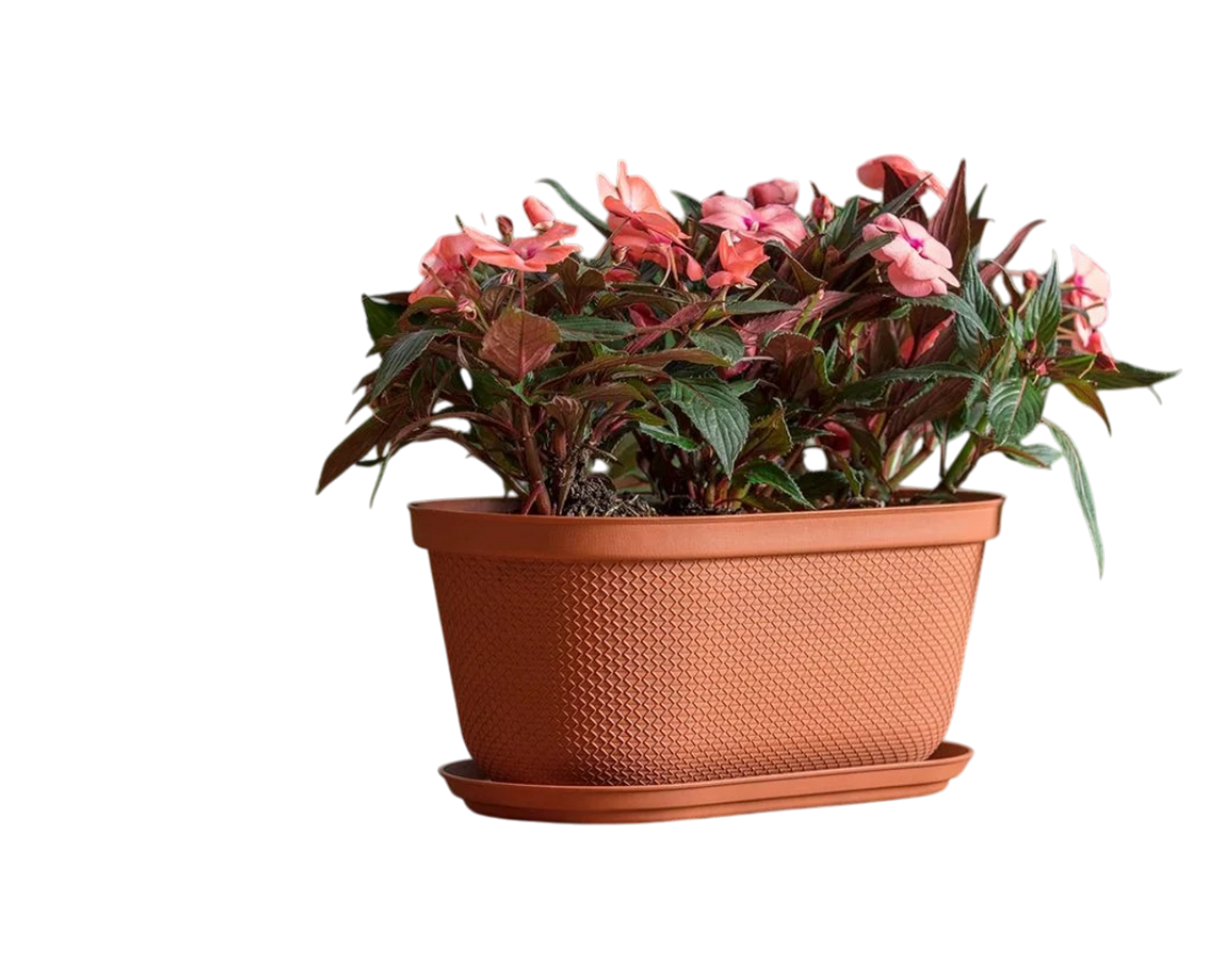MATERA OVALADA RAFIA 40CM TERRACOTA-RIMAX