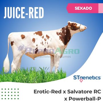 JUICE-RED SEXADO - imagen 1