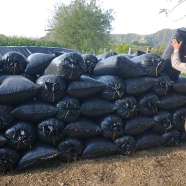 SILO DE MAIZ  50 KG - imagen 1