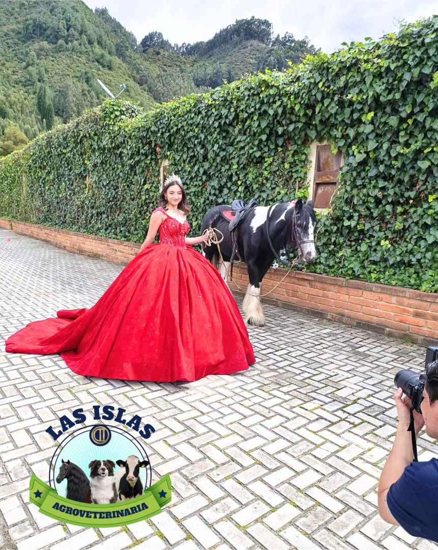SESION FOTOGRAFICA CON CABALLO