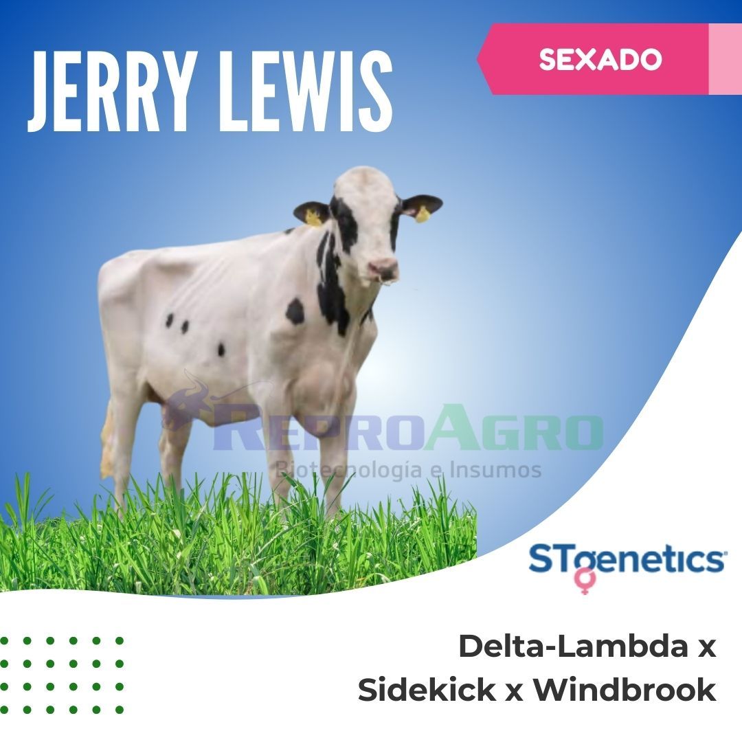 JERRY LEWIS SEXADO