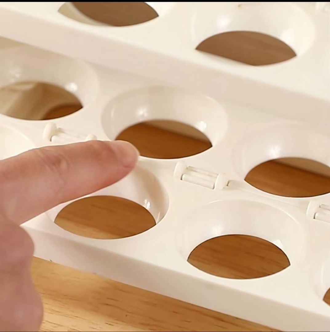 ORGANIZADOR DE HUEVOS 