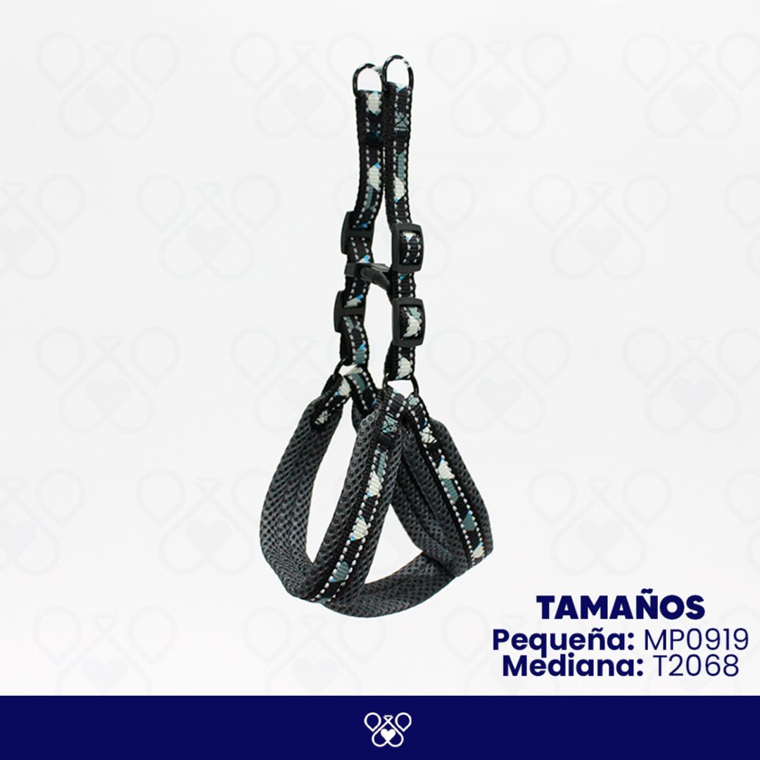 MP0919/T2068
