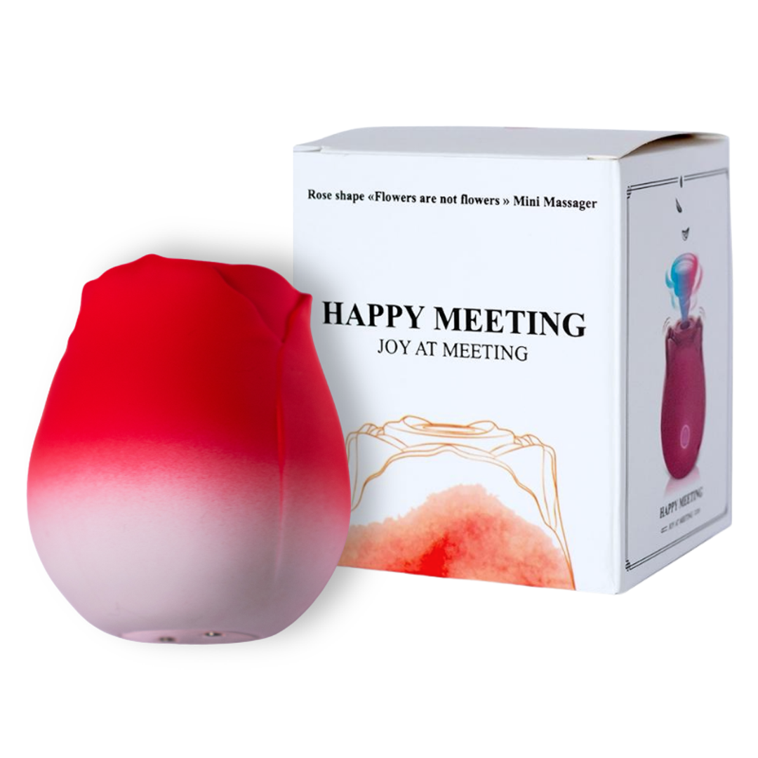 SUCCIONADOR EN ROSA /SKR01/ 352026000031847-9