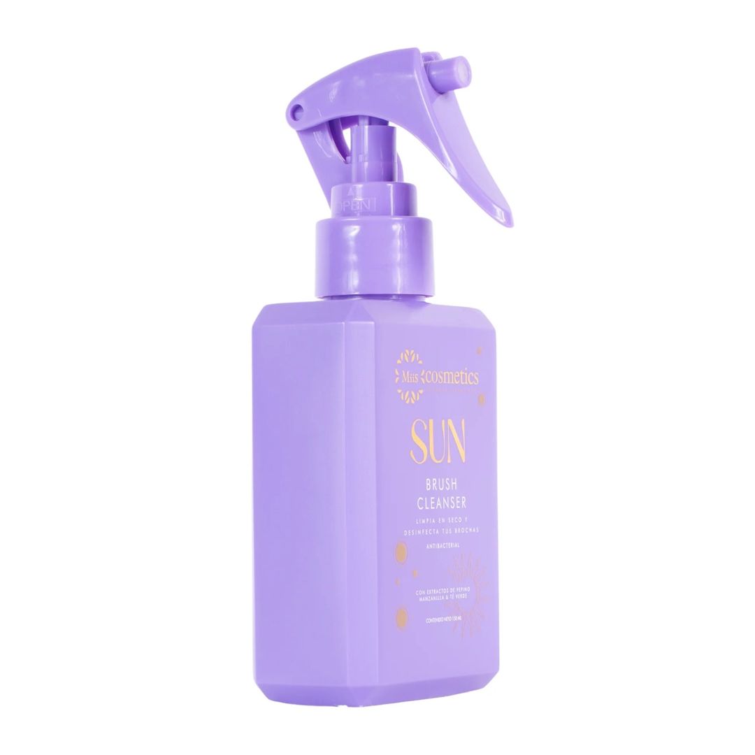 Limpia brochas en seco