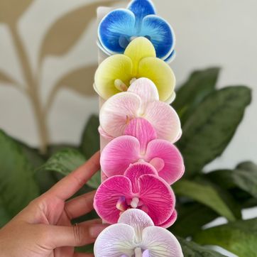 Imagen del producto ORQUIDEA MEDIANA NEW