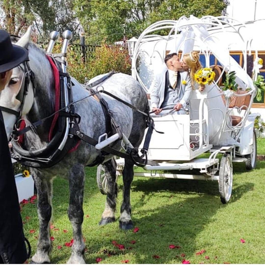 SESION FOTOGRAFICA CON CARRUAJE Y CABALLO EN NUESTRO  CRIADERO