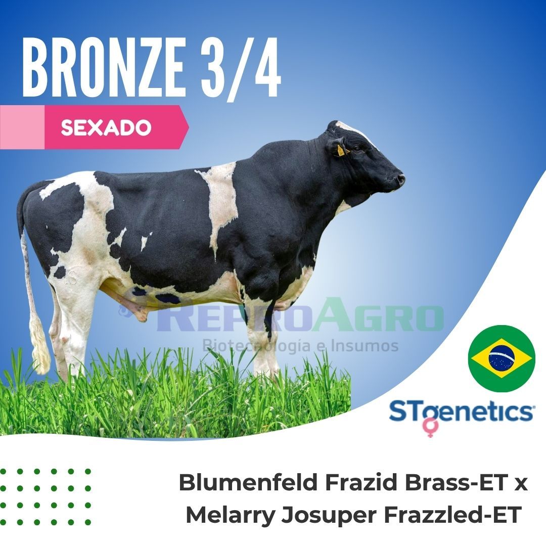 BRONZE SEXADO