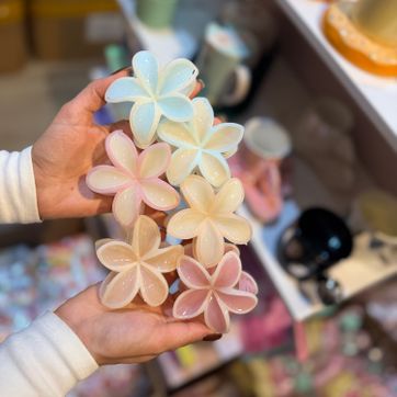 Imagen del producto CAIMAN HAWAIANO BORDES