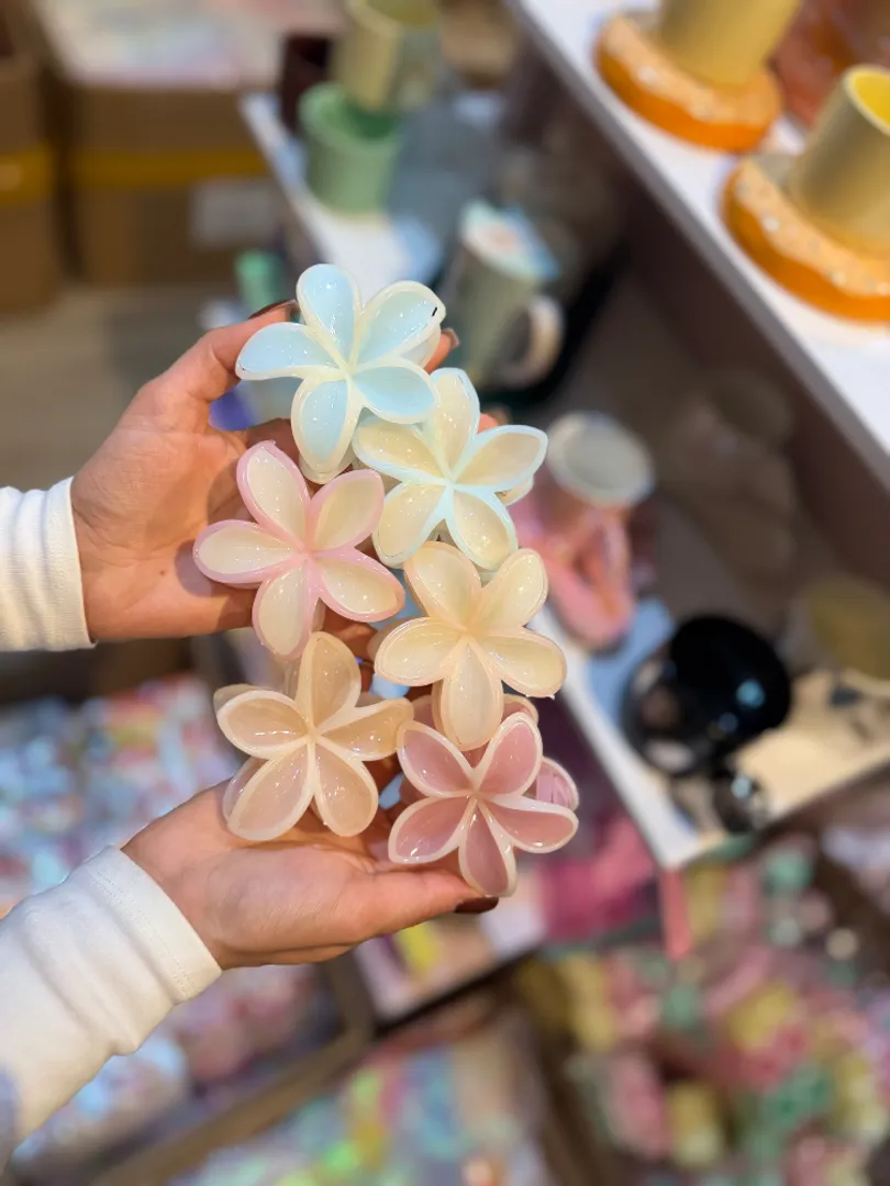 CAIMAN HAWAIANO BORDES