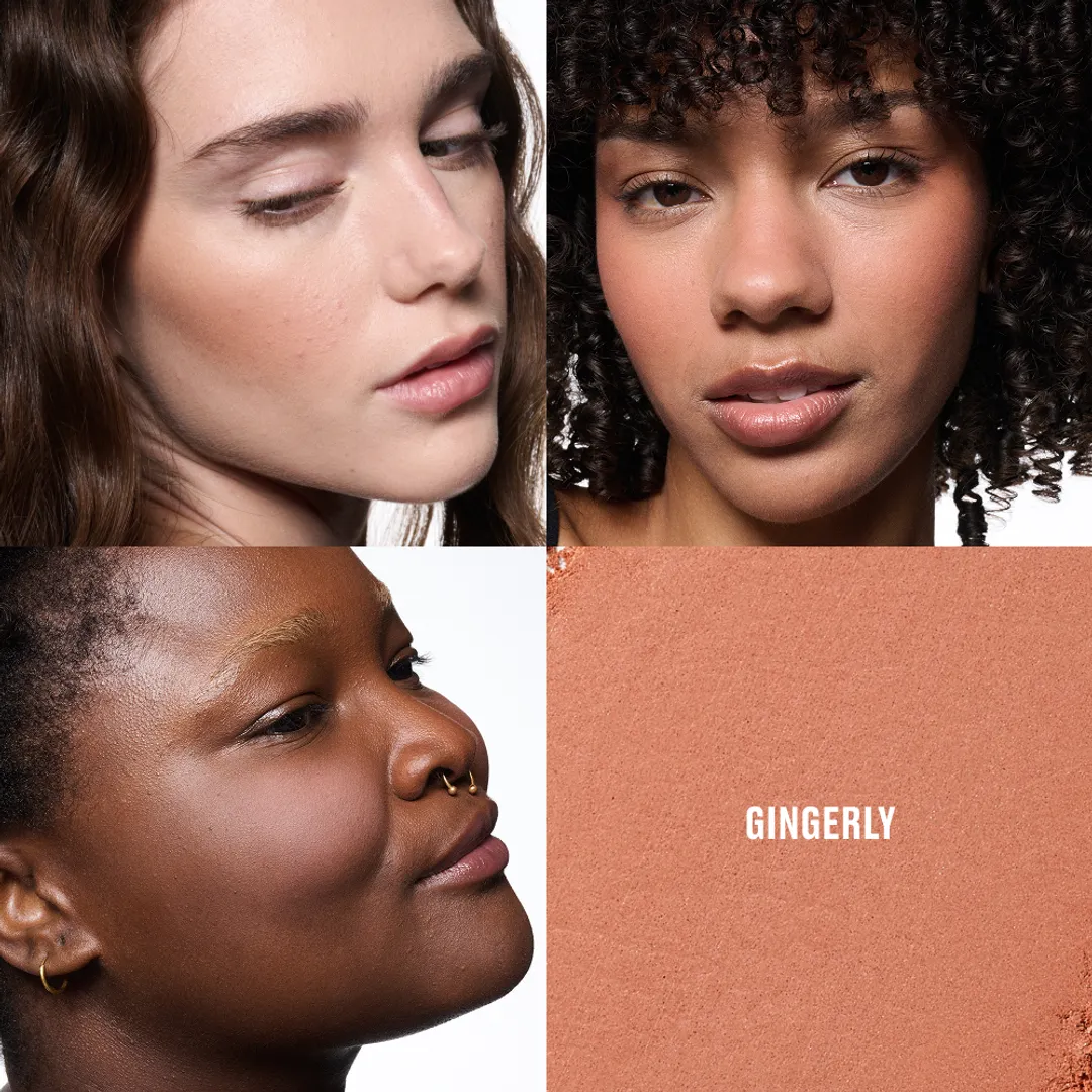 SKINFINISH COLORSTRUCK BLUSH - GINGERLY