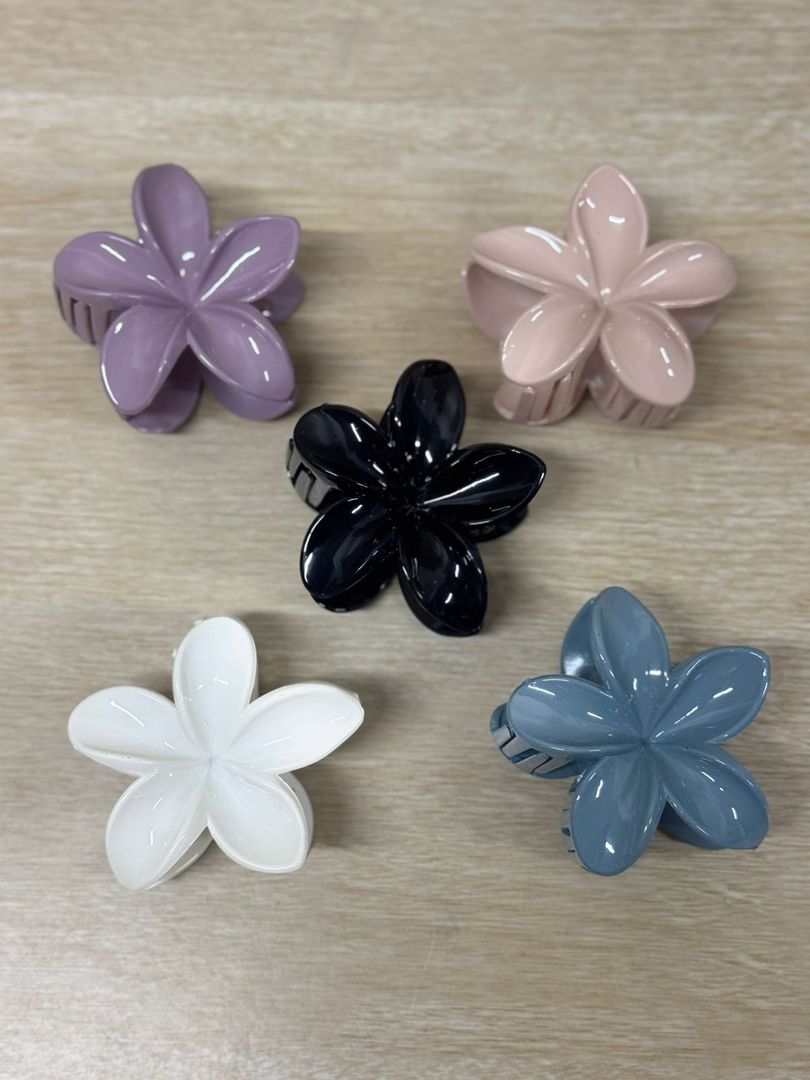 000 CAIMANES GRANDES FLOR