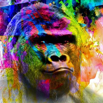 Imagen del producto ILUSTRACIONES COLORIDAS 005