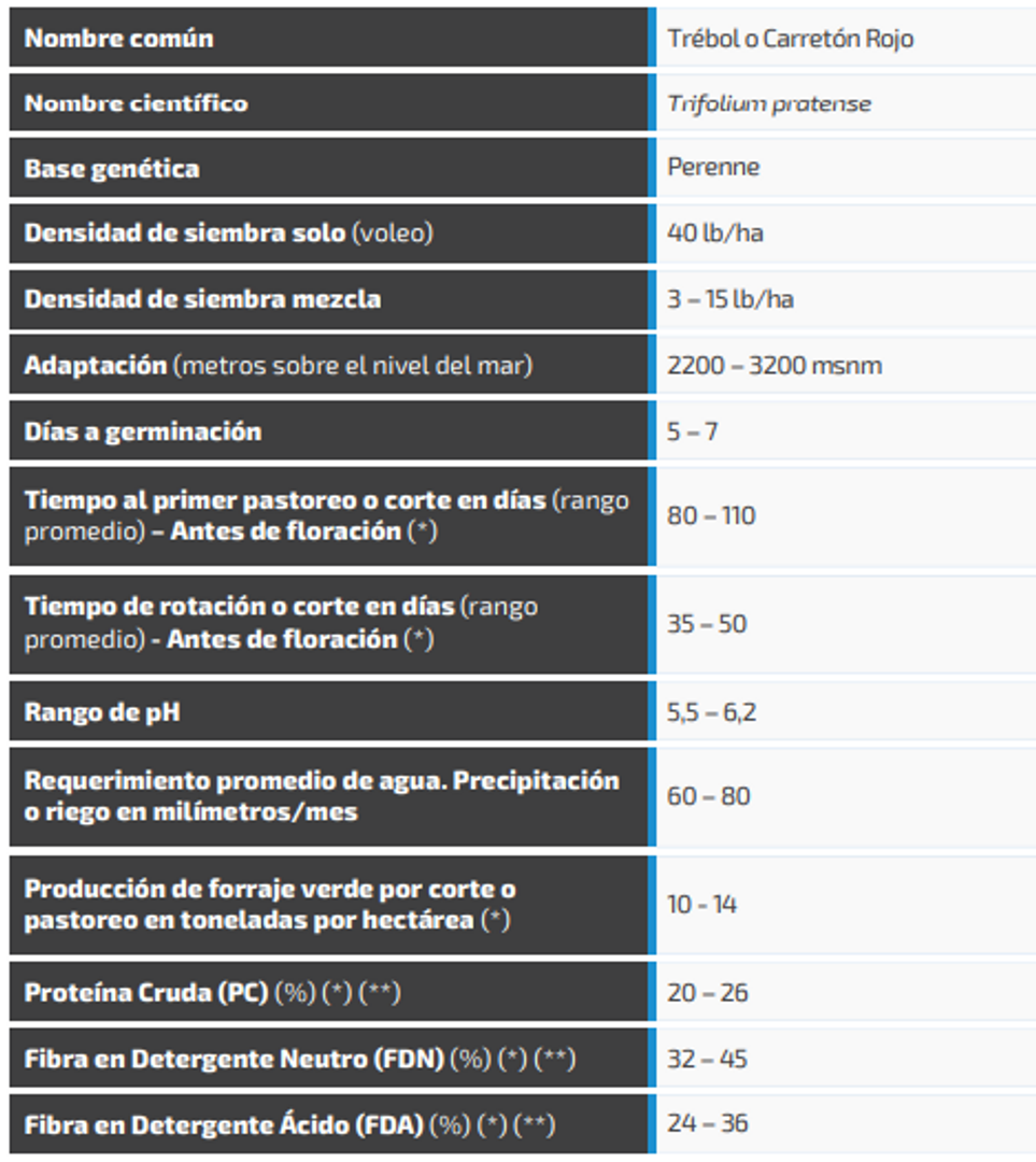 Carretón-Trébol Rojo Gigante x Libra