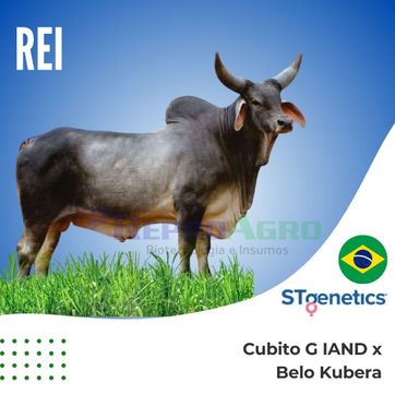 REI - imagen 1