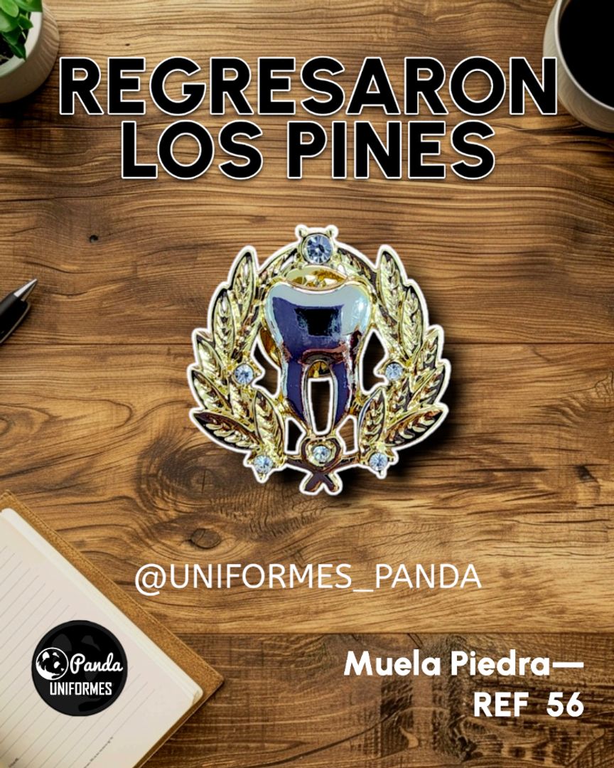  PIN MUELITA