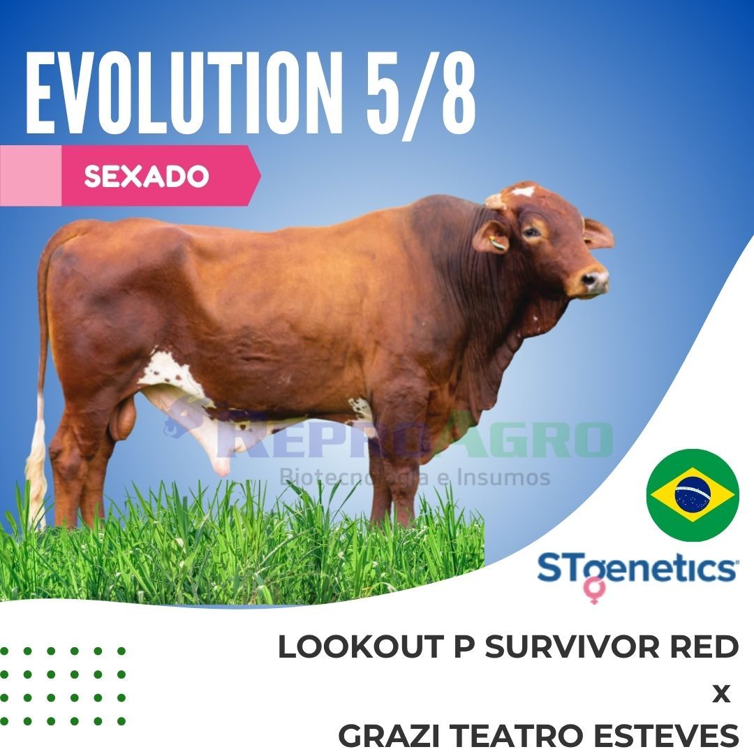 EVOLUTION SEXADO