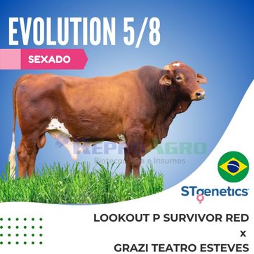 EVOLUTION SEXADO - imagen 1