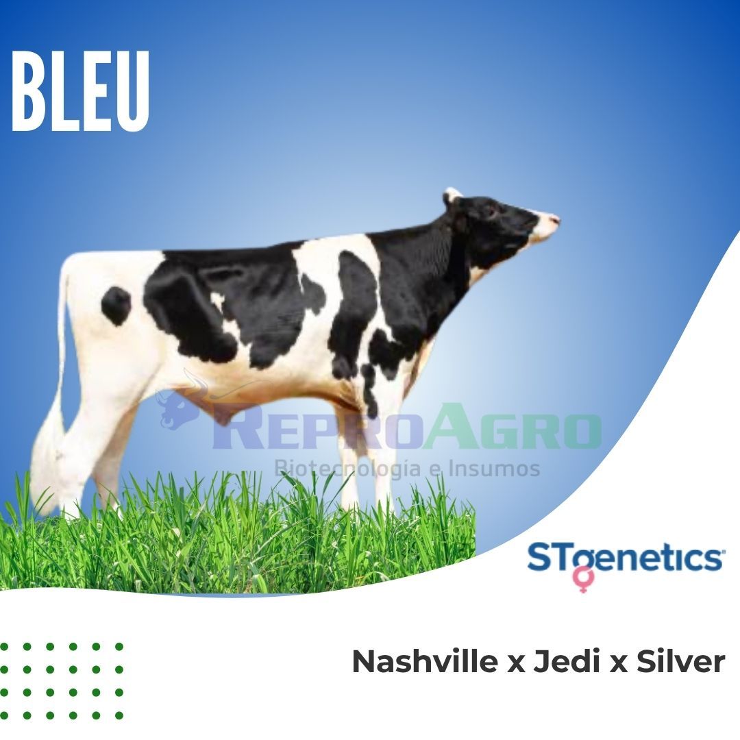 BLEU