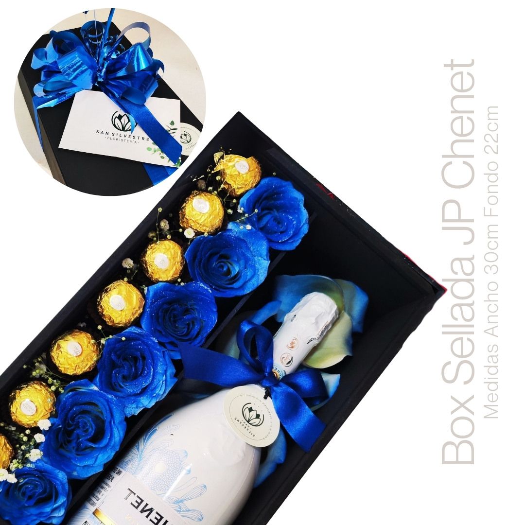 BOX SELLADA AZUL JP CHENET 
