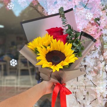 Imagen del producto Ref.6066