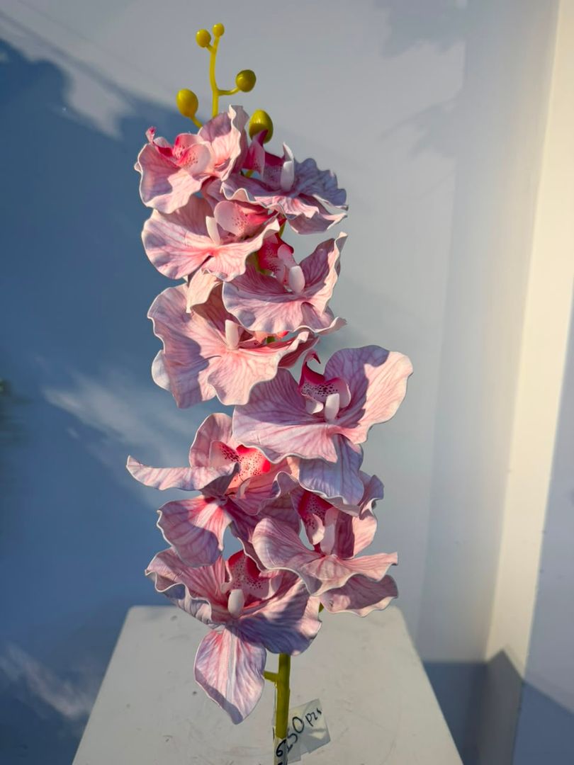 ORQUIDEA EN VARA X 9 ESPUMADO ROSADO