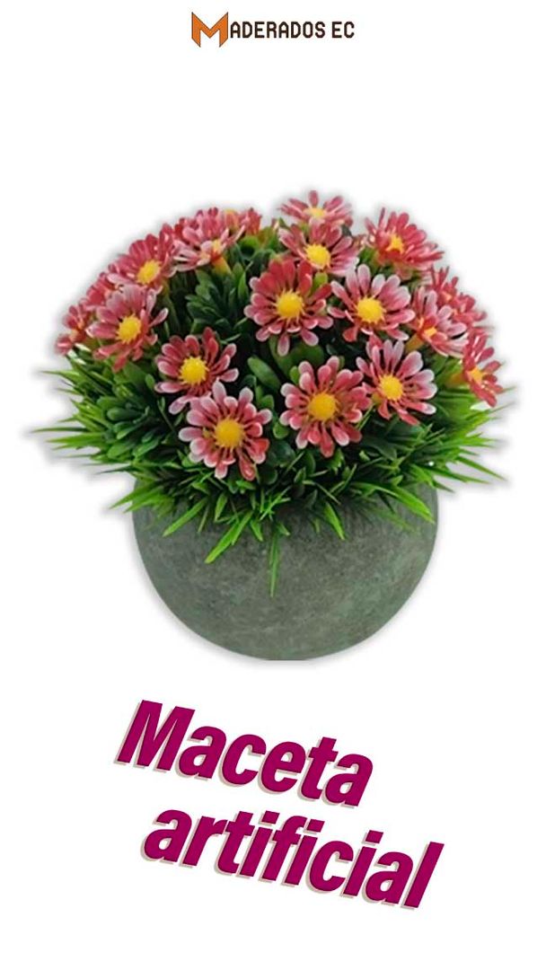 Zapatera - Shelf shoes