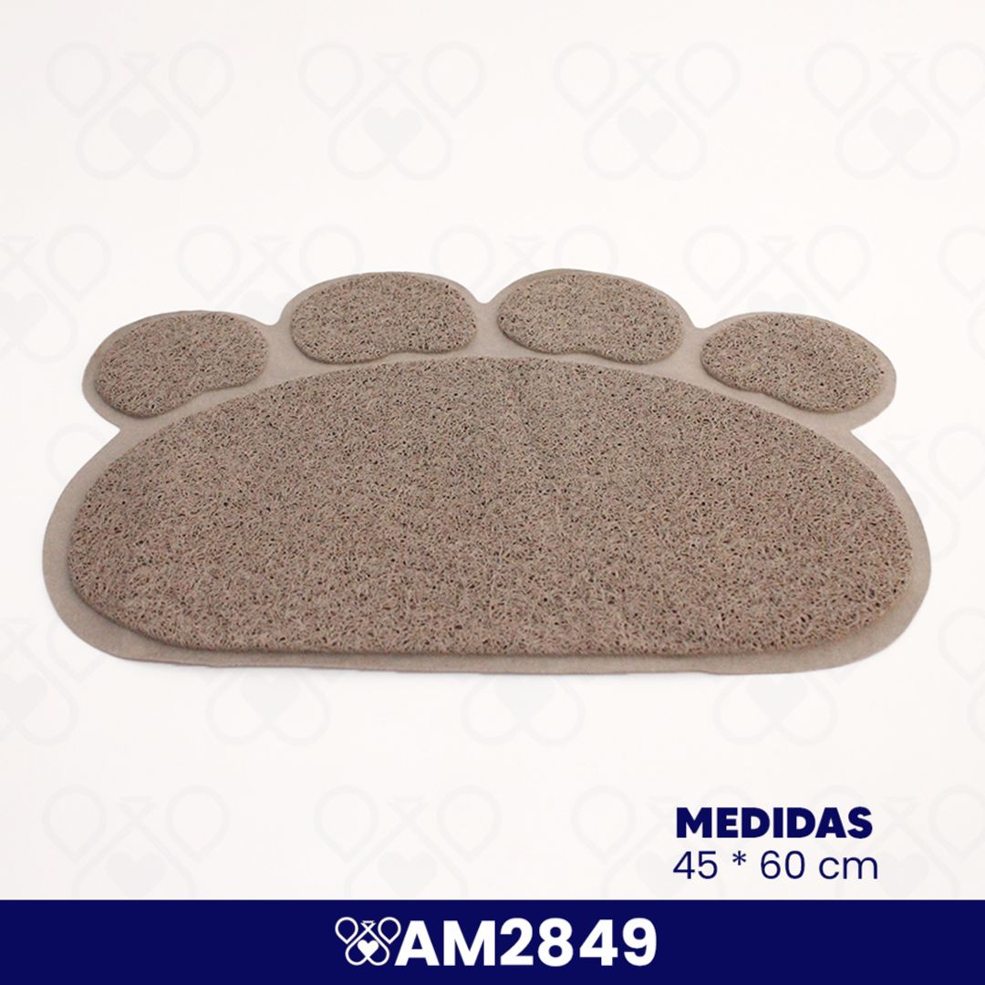 AM2849
