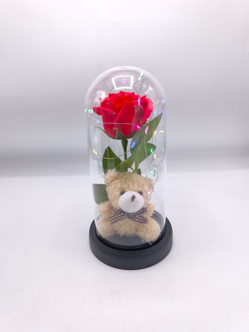 Burbuja luz con oso PM 289