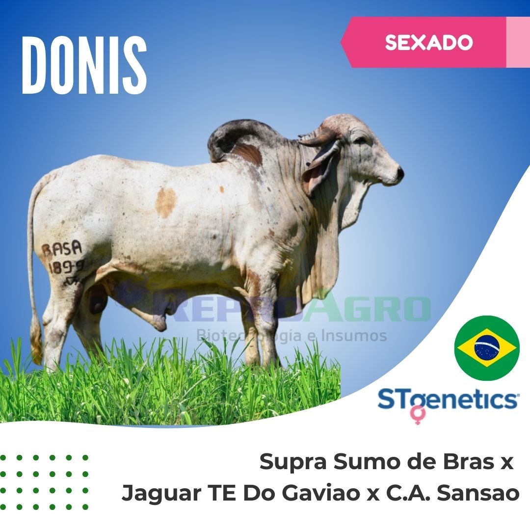 DONIS SEXADO