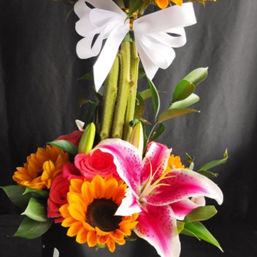 Imagen del producto Tierno 