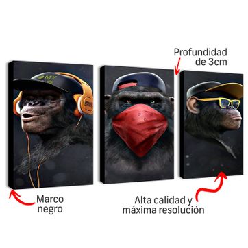 Imagen del producto DIVERSO  010