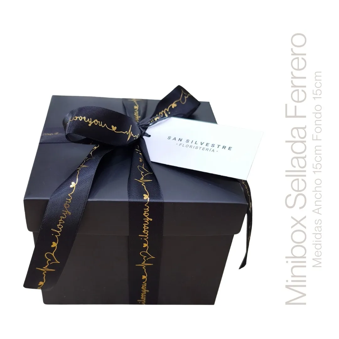 MINIBOX SELLADA FERRERO